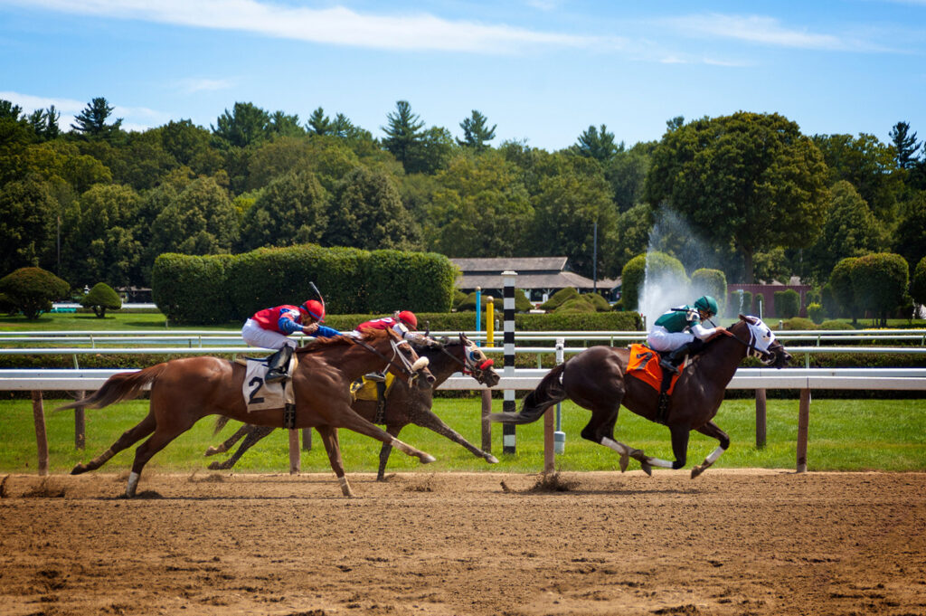 Horse Racing